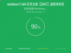 <font color='#0000FF'>Windows11 26H1 64位 纯净 专业版 超纯净游戏专用</font>